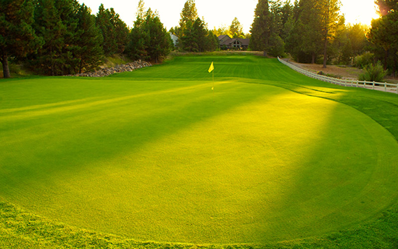 Home Old Back Nine