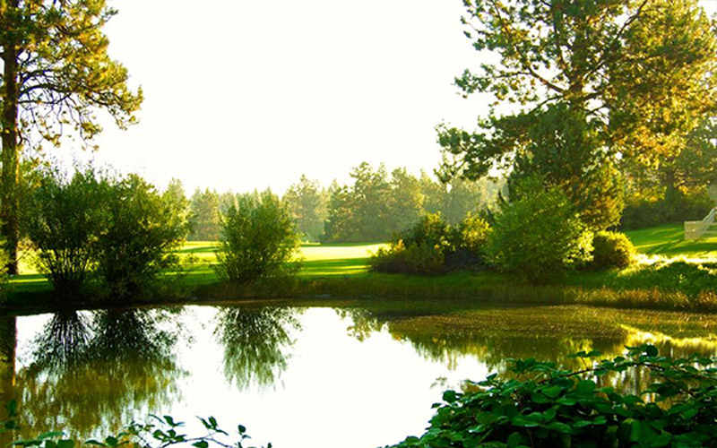 Home Old Back Nine